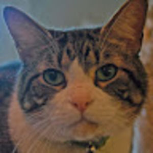 Meet your Posher, Sally-lodge